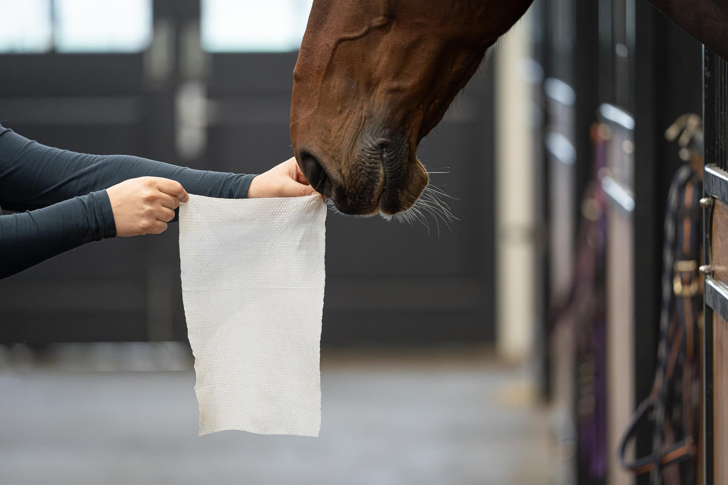 Pferde-Feuchttücher Natural Clean 30 XXL-Tücher