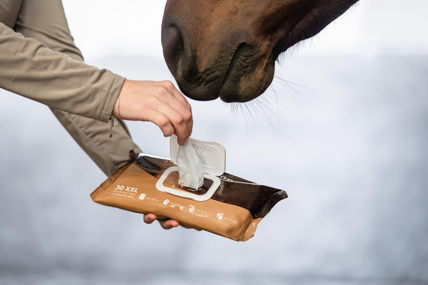 Pferde-Feuchttücher Natural Clean 30 XXL-Tücher